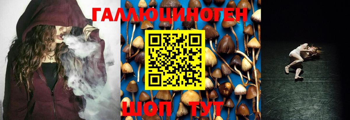 Чебаркуль  Псилоцибиновые грибы Psilocybe  Вход с VPN 
